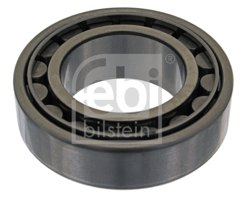 Wheel Bearing